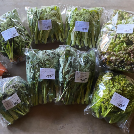 野菜セット