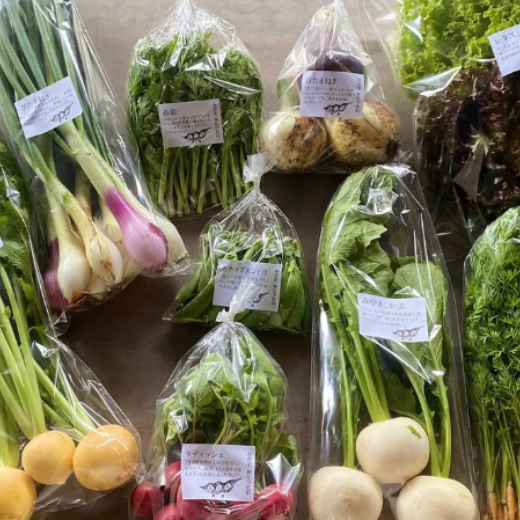 野菜セット