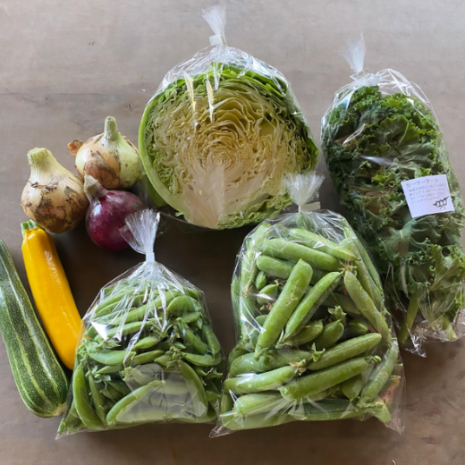 春野菜セット