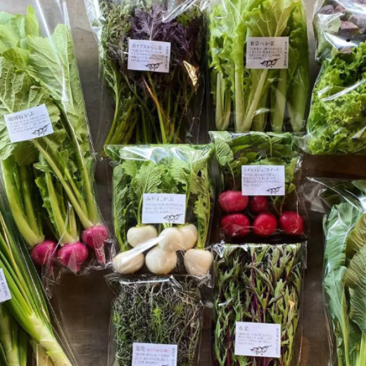 春野菜セット