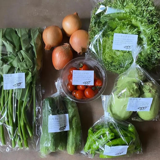野菜セット