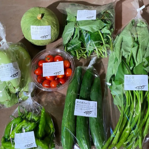 夏野菜セット