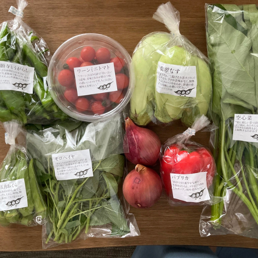 夏野菜セット