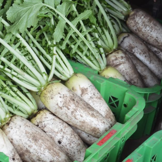 冬野菜セット