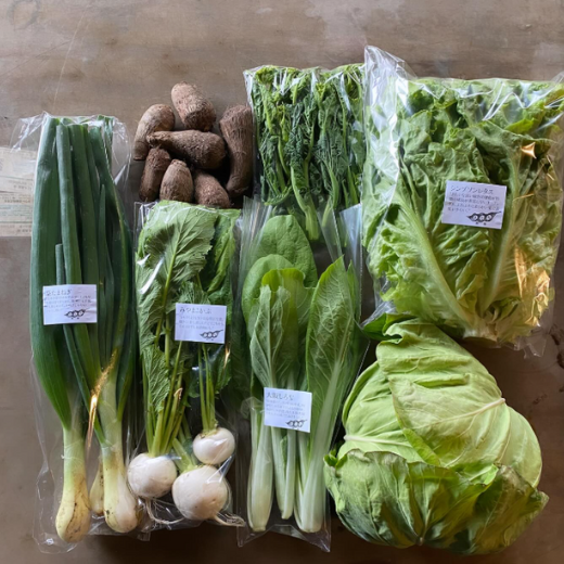 野菜セット