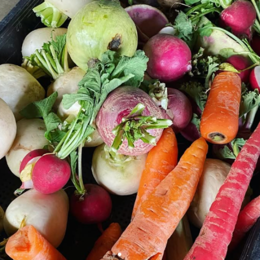 規格外のお野菜